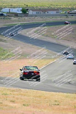 media/May-05-2024-Lucky Dog Racing (Sun) [[8a365fce5b]]/10am-Turn 6/